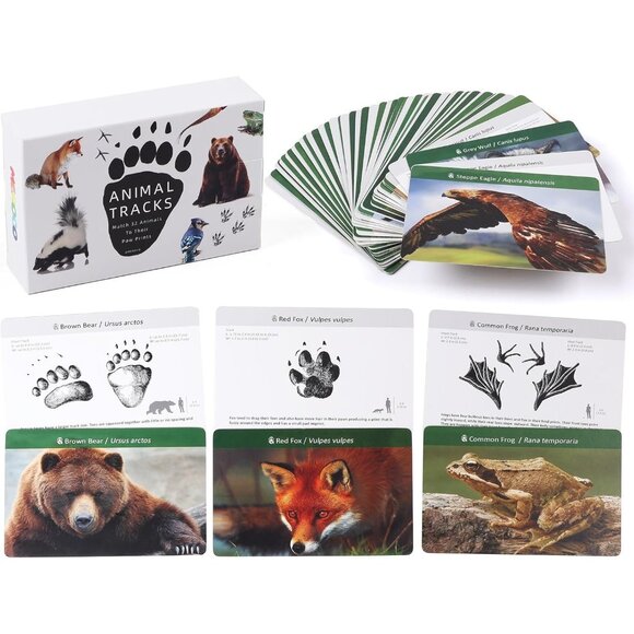 Forest Animal Tracks Flash Cards  Matching Game & Learning Toy for Kids Forest - Picture 1 of 8